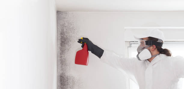 Reliable Seaside, OR Mold Remediation Solutions